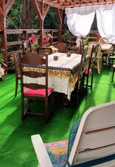 Baile Herculane House | Vila Geany
