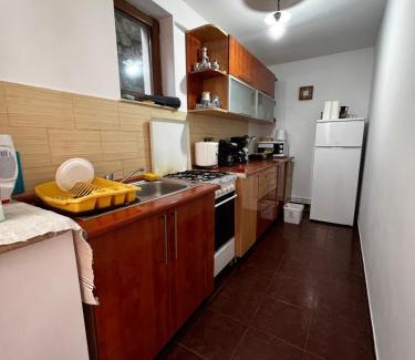 Rausor Villa | Vila Ioana