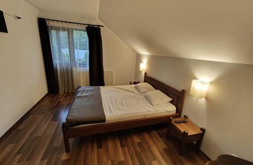 Poiana Stampei House | Vila Irina
