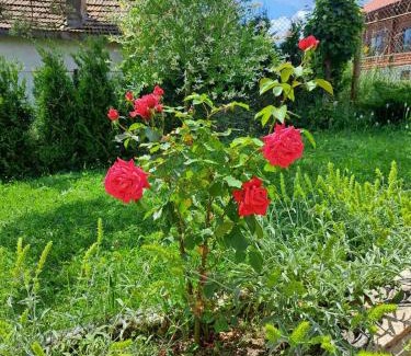Velingrad Villa | Vila Katerina