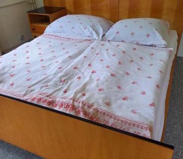 Decin Apartment | Vila Kotlářská