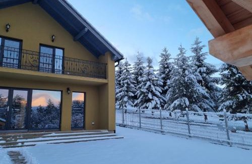 Vulcan House | Vila Lac