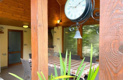 Breaza Villa | Vila Larisa