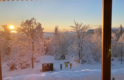 Vysoke Tatry Villa | Vila Limba : One-Bedroom Apartment with Balcony