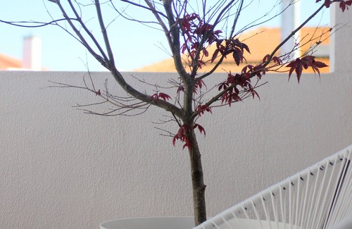 Mafra House | Vila Mafra - Grill Terrace at the center of Mafra