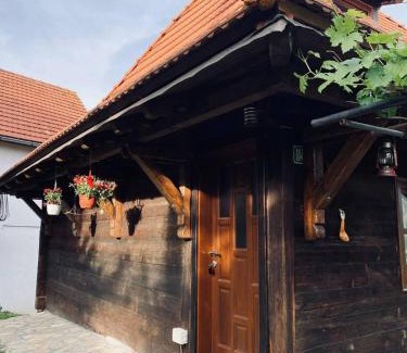 Mokra Gora House | Vila MARA