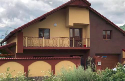 Petrila House | Vila Maria