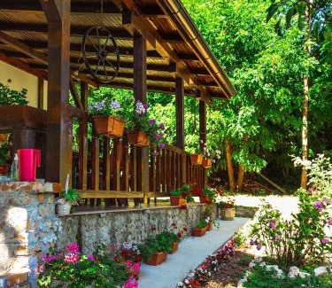 South Backa District House | Vila Marina na obali Dunava