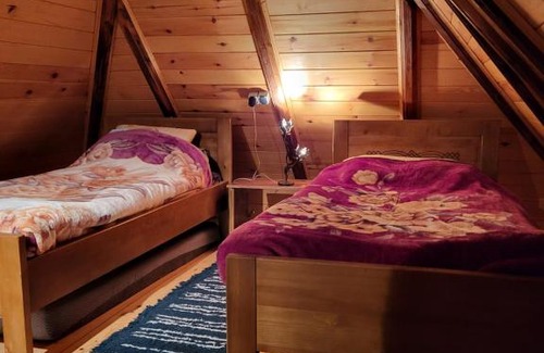 Mokra Gora Villa | Vila Milovanovic