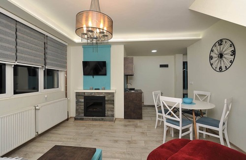 Zlatibor Villa | Vila Mina