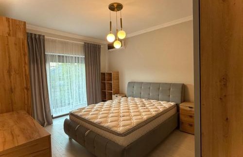 Dumbravita Villa | Vila moderna Dumbravita