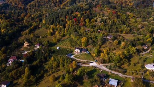 Oestii Paminteni Villa | Vila N&D