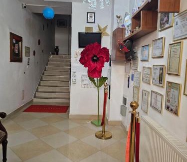 Baile Olanesti House | Vila Nicoleta