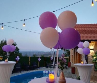 Skopje Region Villa | Vila Ohana