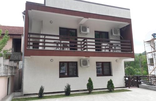 Baile Herculane House | Vila Ovidiu