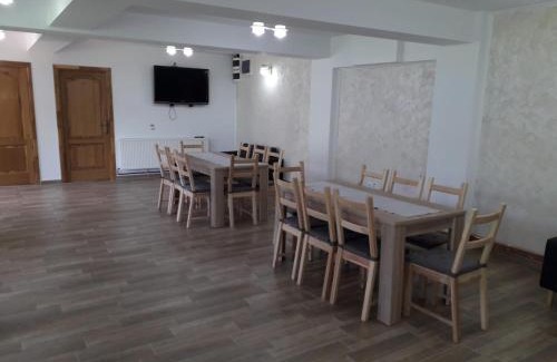 Baile Herculane House | Vila Ovidiu