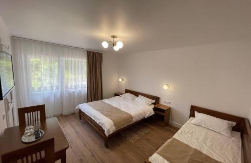 Borsec House | Vila Panova