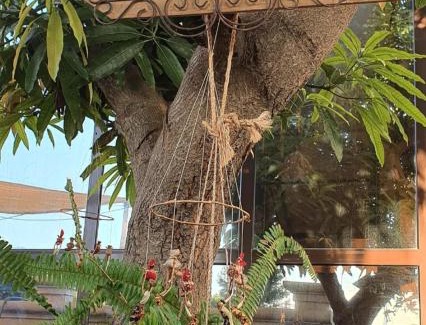 Maputo Hotel | Vila Pereira