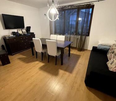 Vulcana-Bai House | Vila Rosu