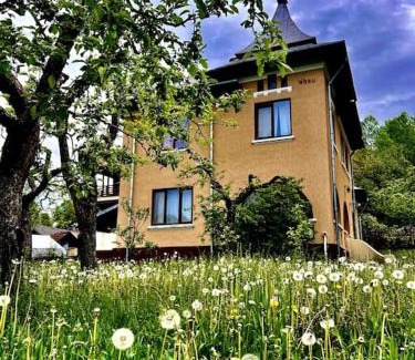 Vulcana-Bai House | Vila Rosu