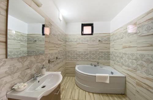 Sighetu Marmatiei House | Vila Roza