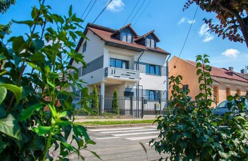 Sighetu Marmatiei House | Vila Roza