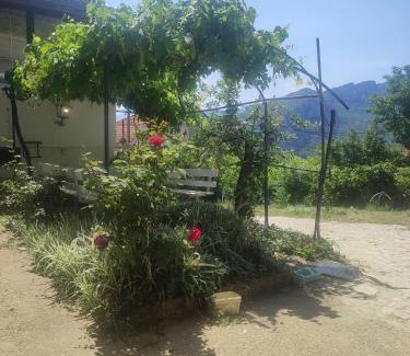 Sicevo Apartment | Vila Ružica