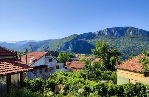 Sicevo Apartment | Vila Ružica