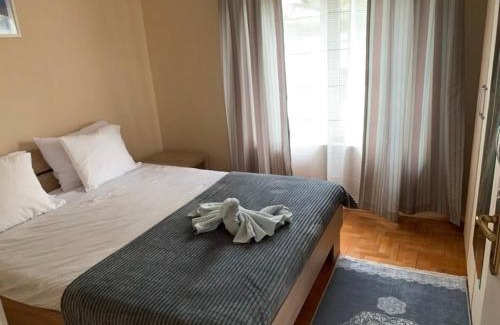 Gornja Toplica House | Vila Siki