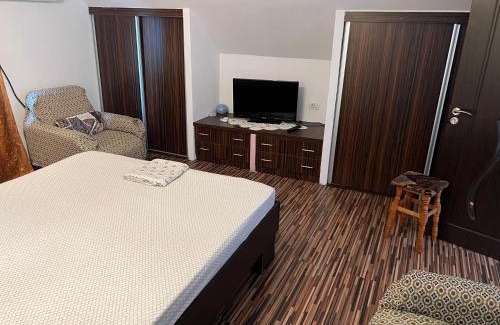 Salcia House | Vila Siminica