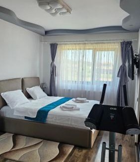 Baiculesti Villa | Vila Simona