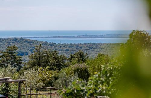 Miren-Kostanjevica Villa | Vila Sistiana