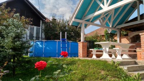 Slanic House | Vila Slanic