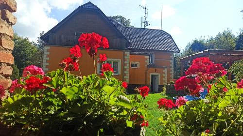 Vejprty House | Vila Slunečnice