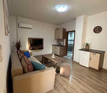 Mrzenci Apartment | Vila Snezana