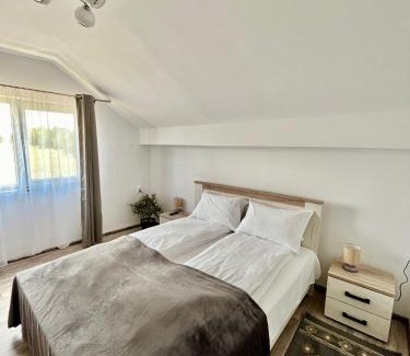 Hateg Villa | Vila SOFIA