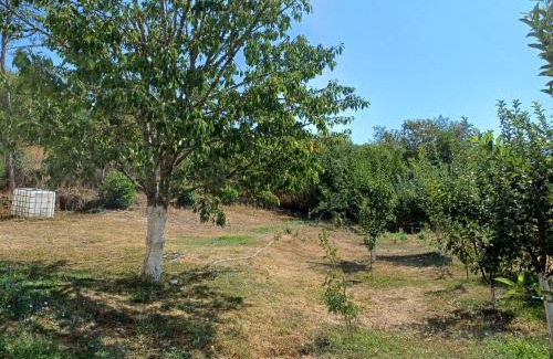 Demir Hisar House | Vila Stojna