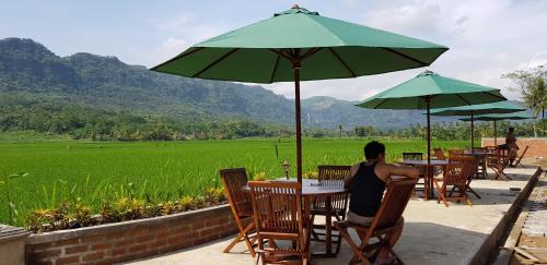 Java Cabin | Vila tenjo gunung