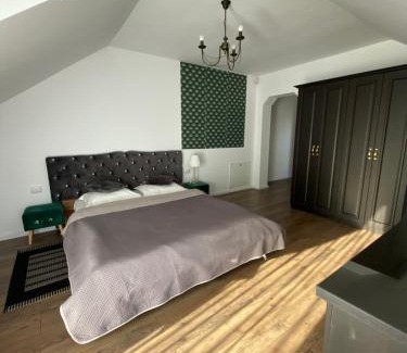 Toplita House | Vila TeoNa