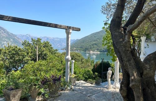 Morinj Apartment | Vila Violeta