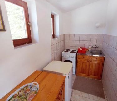 Zlatibor Apartment | vila Zoran