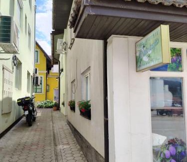 Arilje Apartment | Vilin konjic