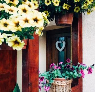 Kvacany House | Vilka Tkáč