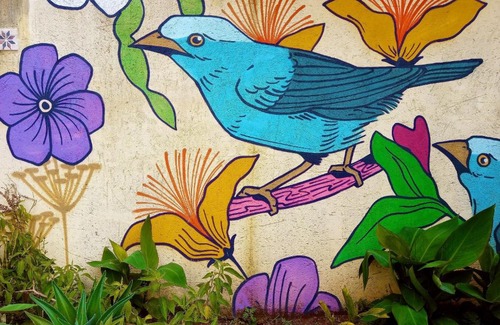 Alto Paraiso de Goias Ski Chalet | Villa Ágape - Chapada dos Veadeiros