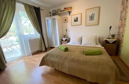 Lasko Apartment | Villa СARPE DIEM