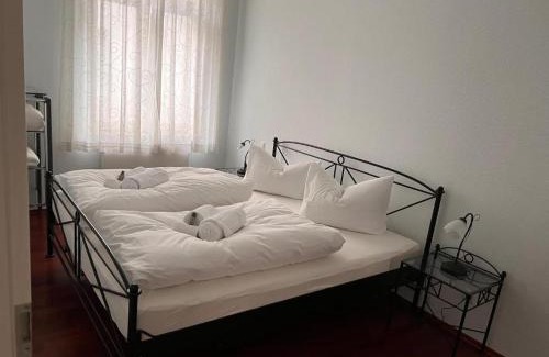 Zentrum-Nord Apartment | Villa 18 Boutique Apartment mit Gartenblick kostenfreies Parken Zoo und Zentrum fußläufig