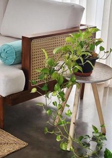 Jambugasmulla House | Villa 316 - Cozy Beach Vibe Family Home - 20 min to Colombo