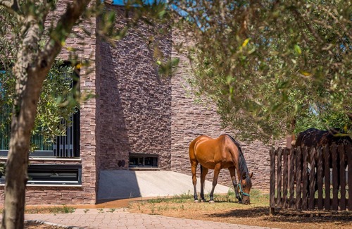 Tribunj Villa | Villa ∙ 5 bedrooms ∙ 11 guests