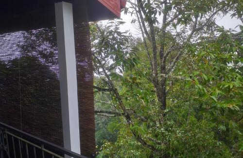 Teldeniya House | Villa 95 Rangala