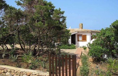 Portobello di Gallura Villa | Villa a short walk from the sea surrounded by a garden with trees, plants and flowers
